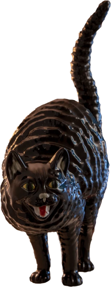 Gato do hotel